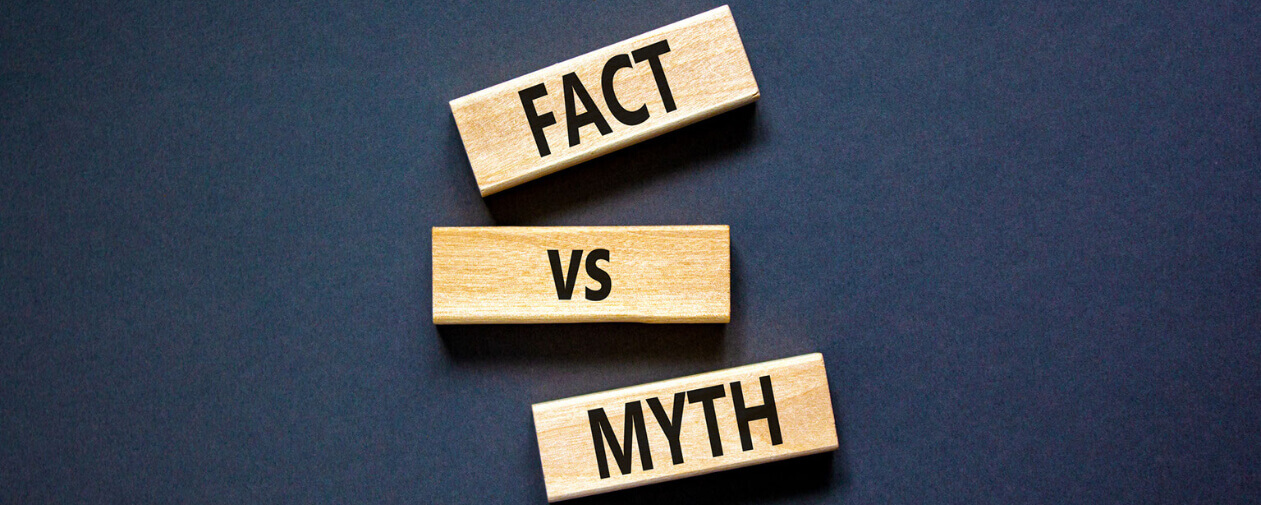 Wooden blocks with the words "Fact vs Myth" on them