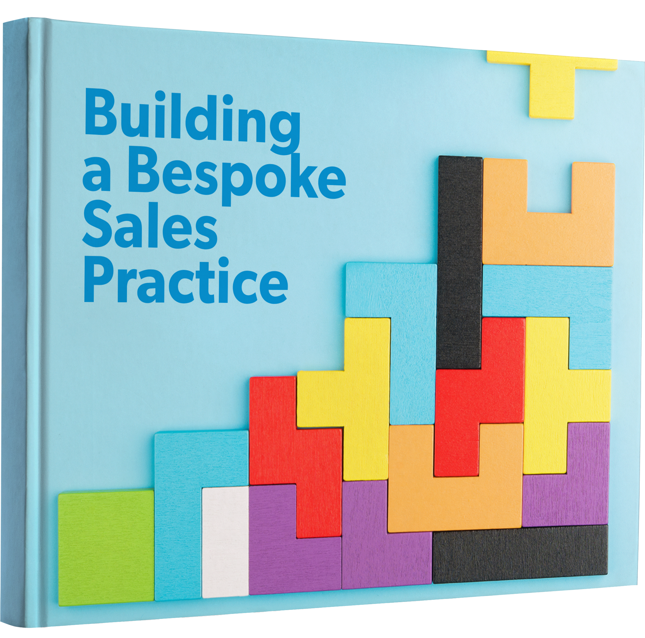 Book cover of The Definitive Guide to Choosing a Managed Sales Partner