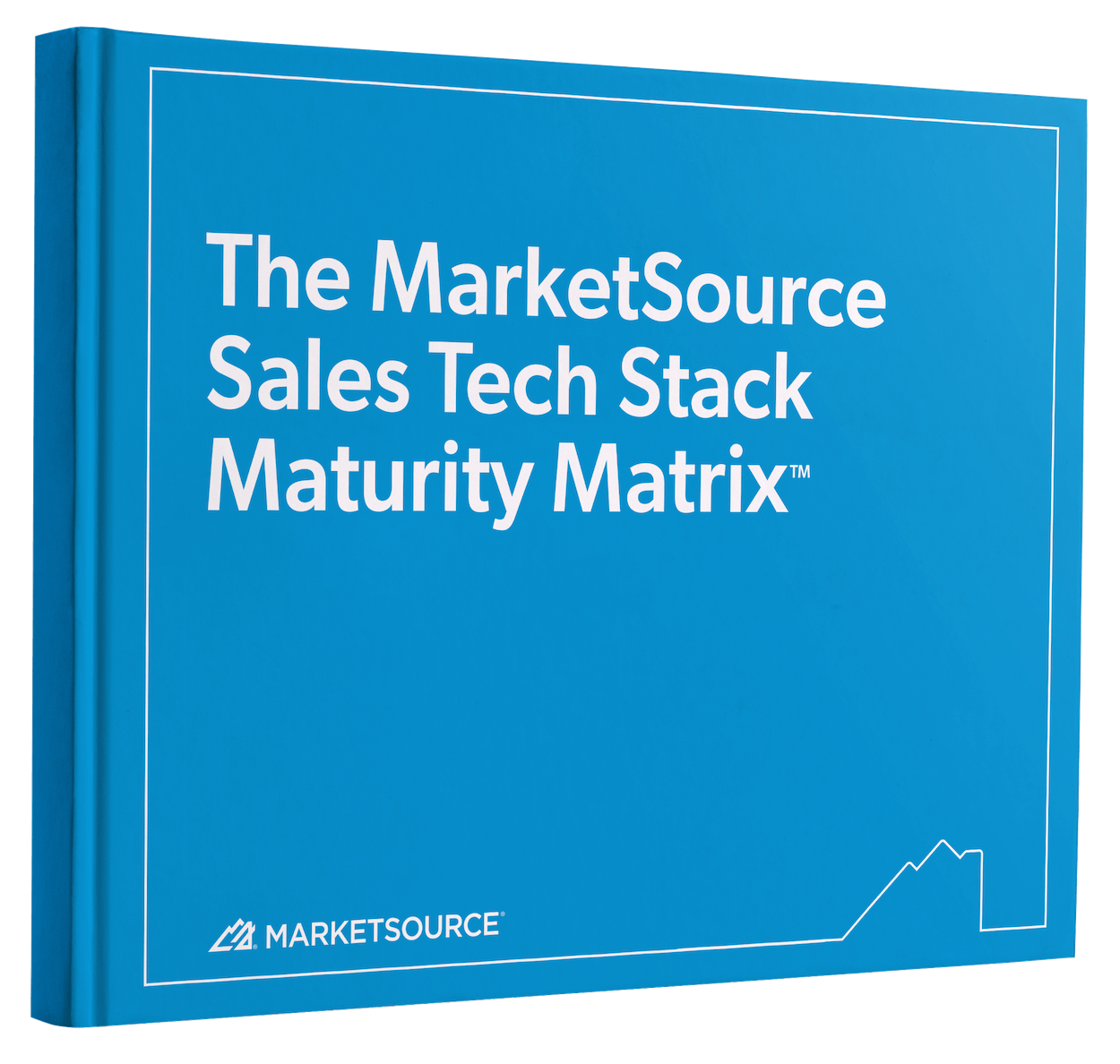 Book cover of The Definitive Guide to Choosing a Managed Sales Partner