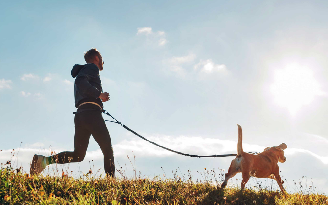 Pet Wellness Products Manufacturer Gains 600 Accounts in 90 Days