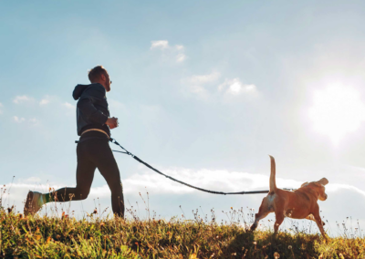 Pet Wellness Products Manufacturer Gains 600 Accounts in 90 Days